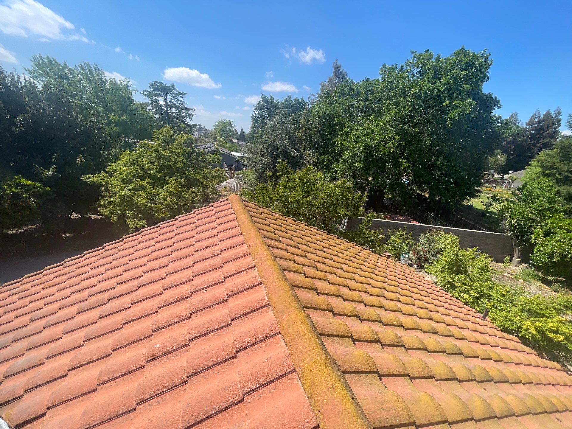 Presidential shingle roof by Straight Edge Roofing Inc