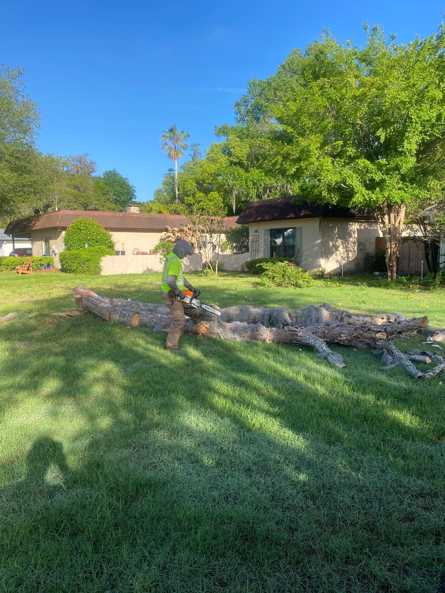 Residential | Tree Removal & Trimming by ProGreen Services