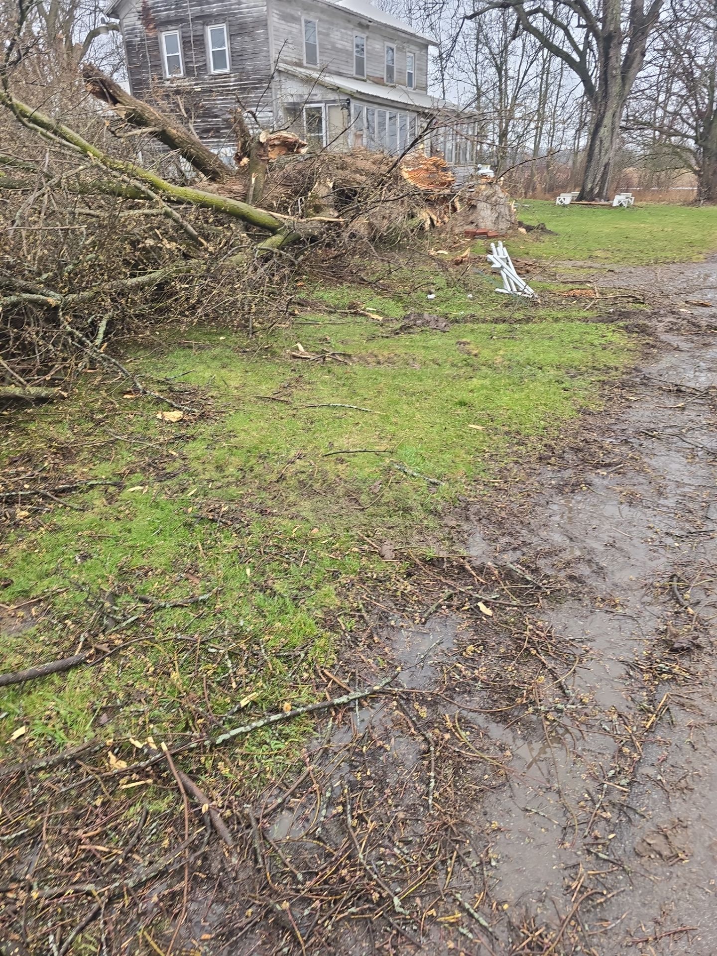 Emergency Job using Bobcat by Treeman Tom LLC