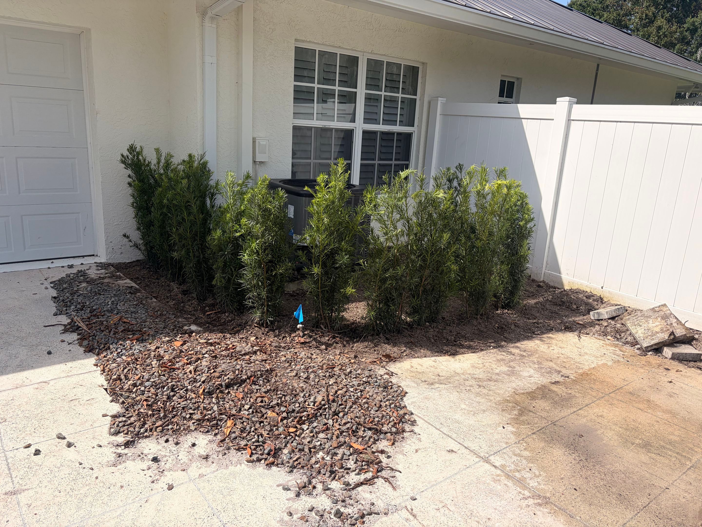🌿✨ From Problem Areas to Paradise in Palm City! 🏡💧🌴 by Alpha Zeta Enterprises Inc