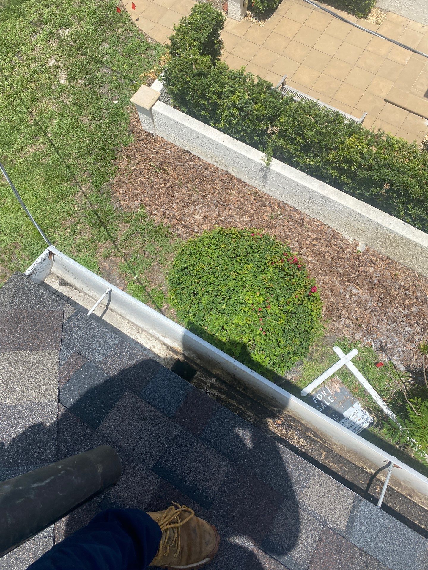 Gutter Cleaning Service in Tampa FL by Gutter Professors