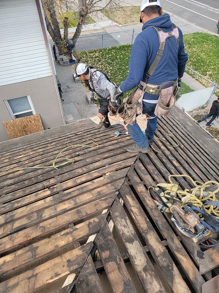 Residential Roofing Installation using GAF Timberline HDZ - Lifetime Shingle by The Roof Doctor