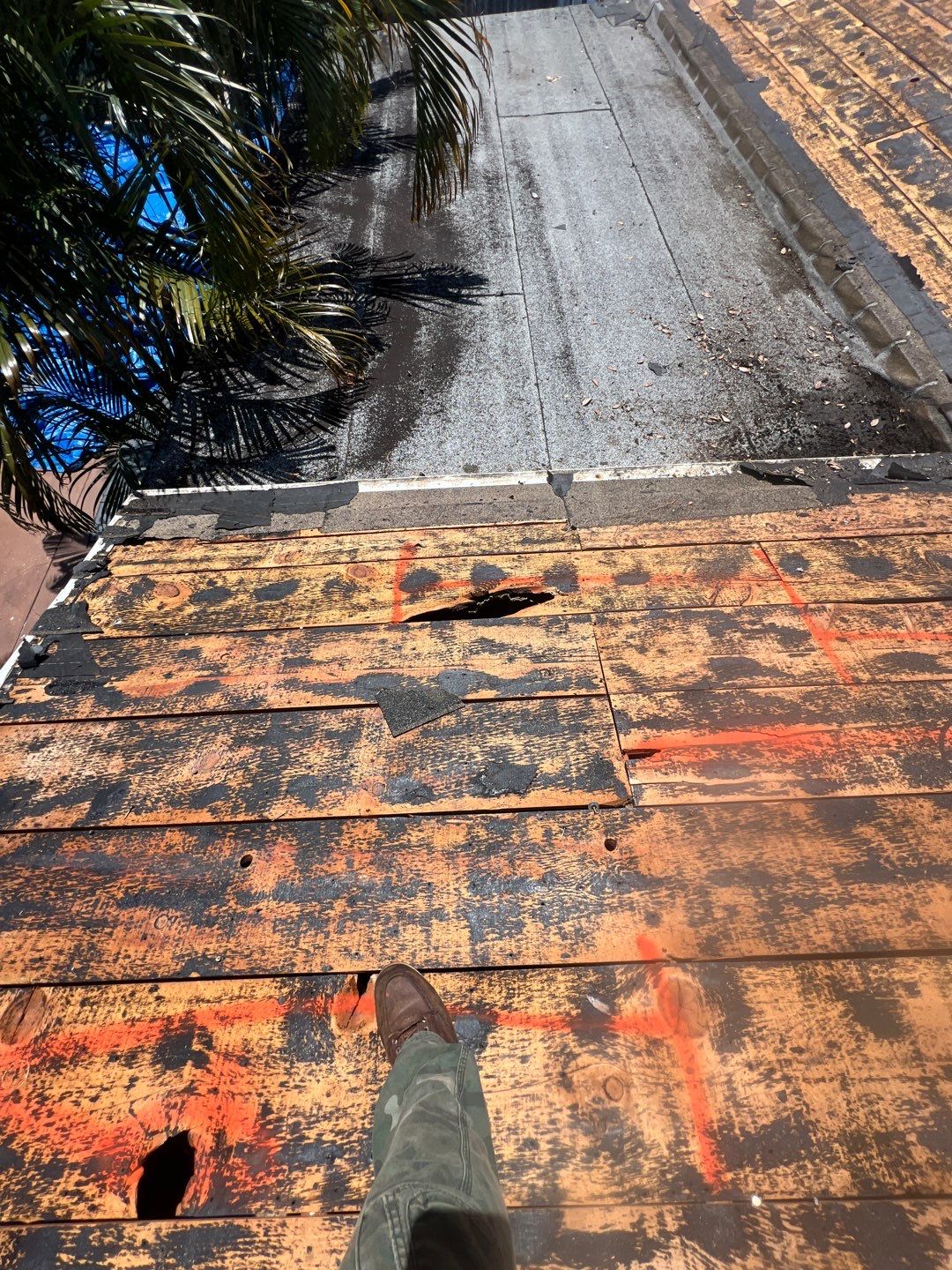 Project in St. Petersburg 33705 by Mitchell Roofing Company LLC 