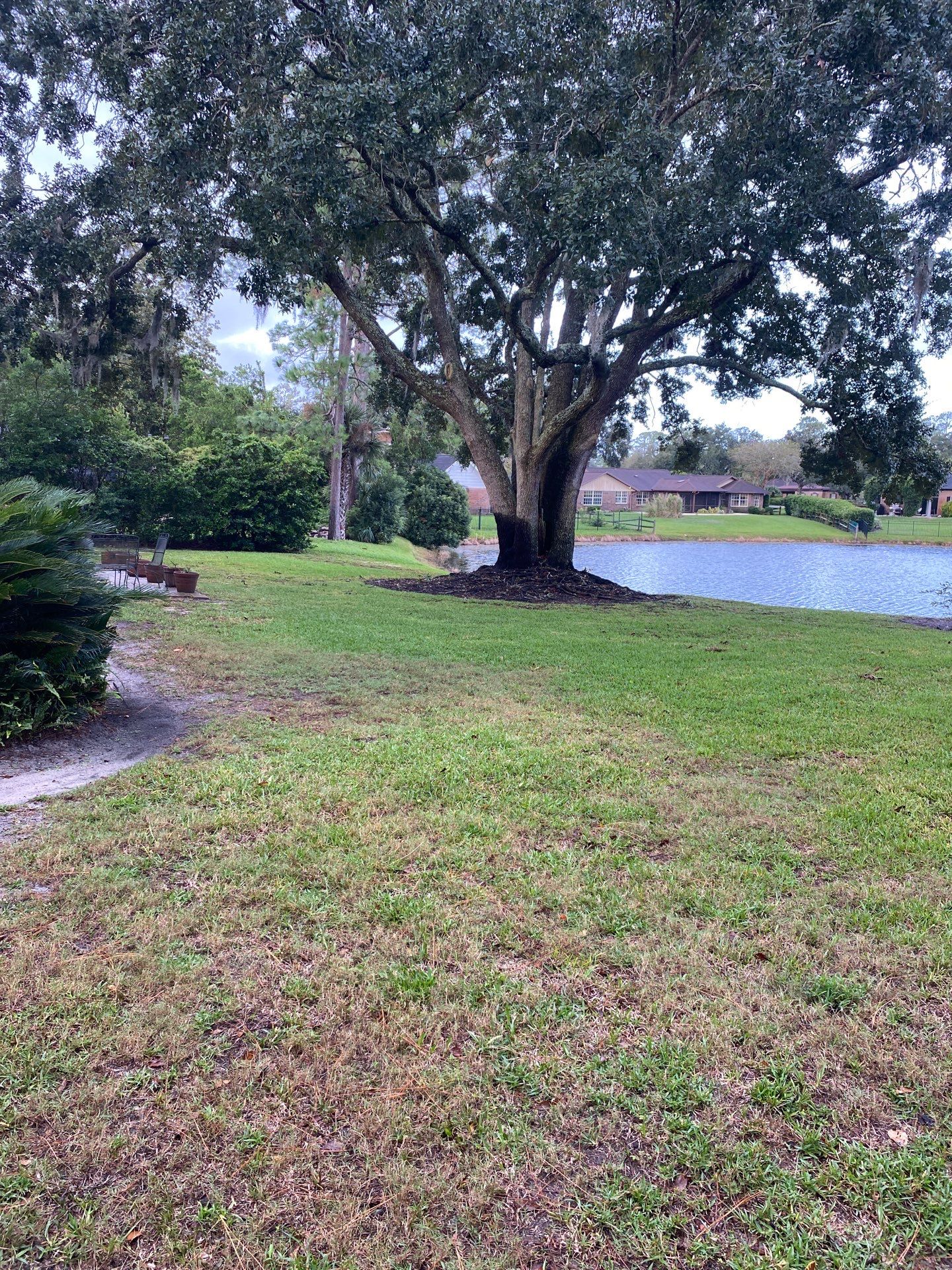 Deerwood Resident | Sod Replacement by ProGreen Services
