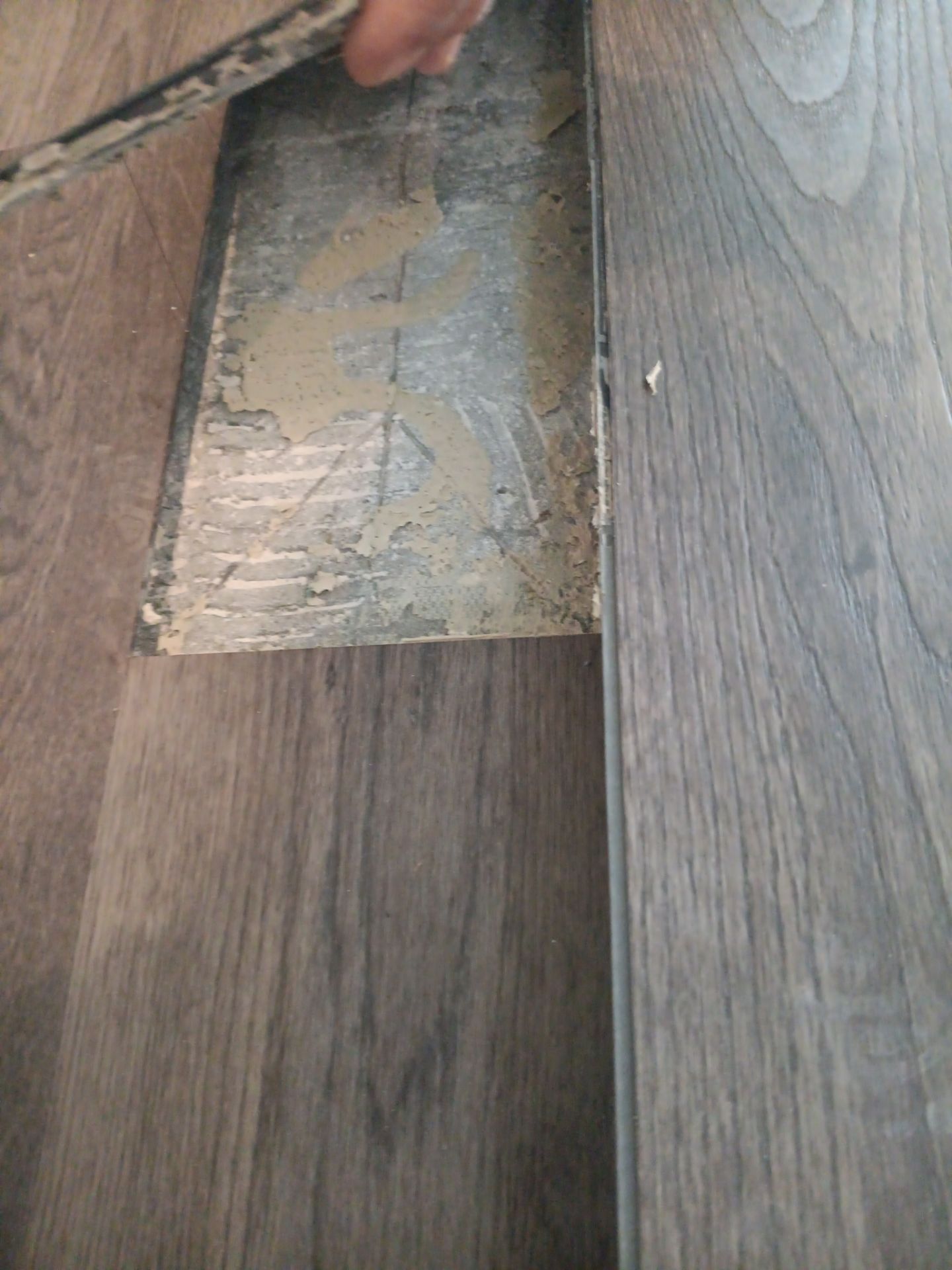 AP all the Way! by Bayfront Roofing and Construction