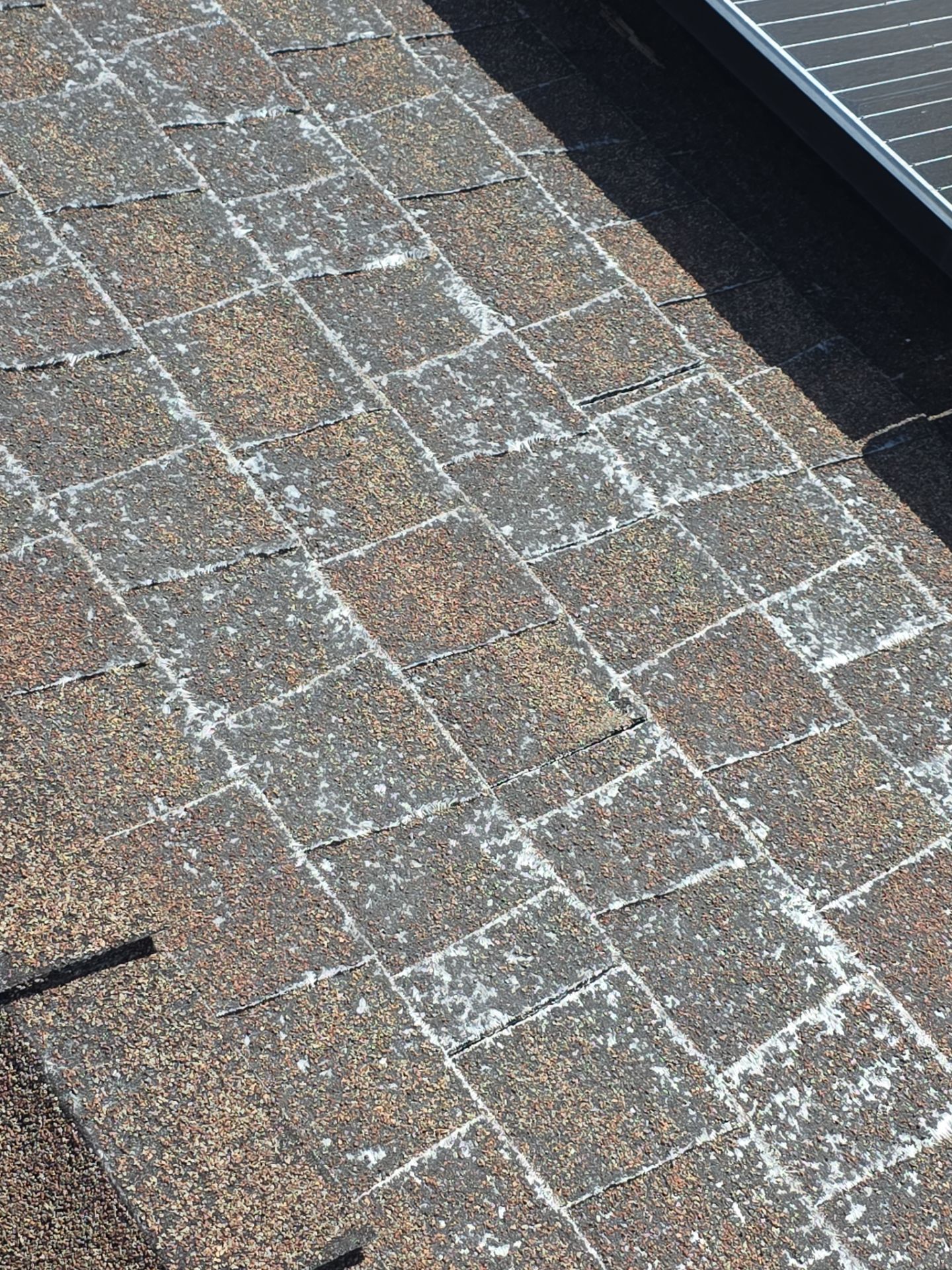 Roof Rejuvenation using Roof Maxx Treatment by Roof Maxx of Folsom
