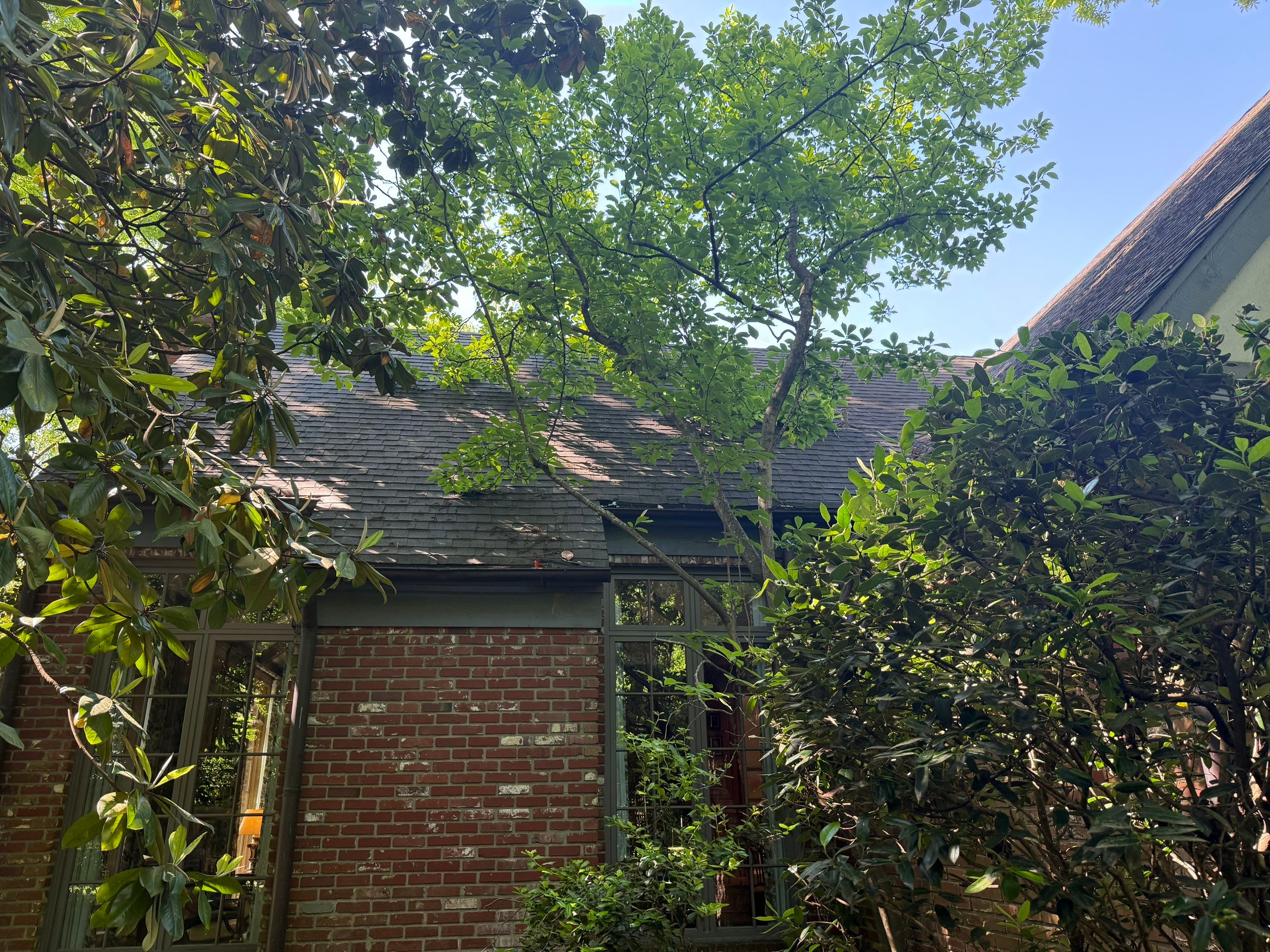 Roof Replacement in East Memphis by Revival Roofing Services