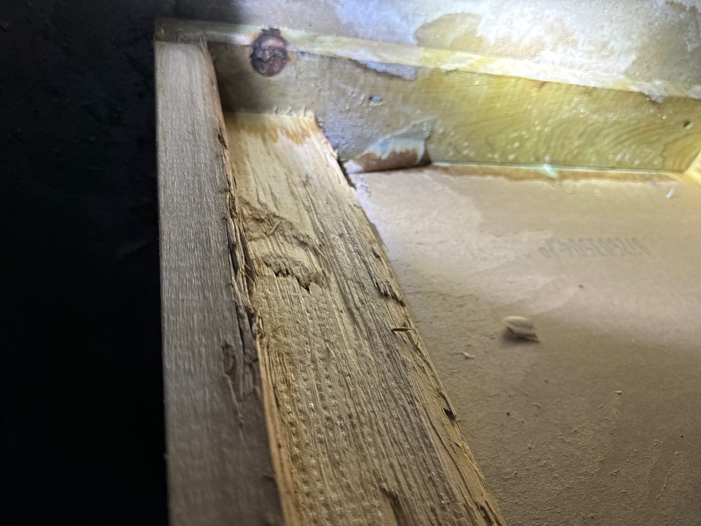 Project in Commerce Charter Twp by EzDry Water Mitigation & Property Restoration