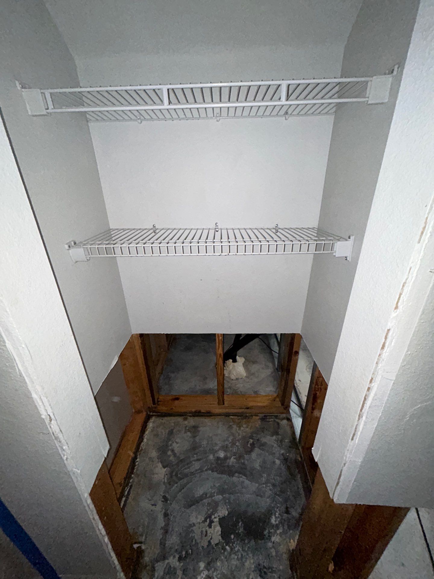 Stansell - water and mold photos  by THE RAPID TEAM