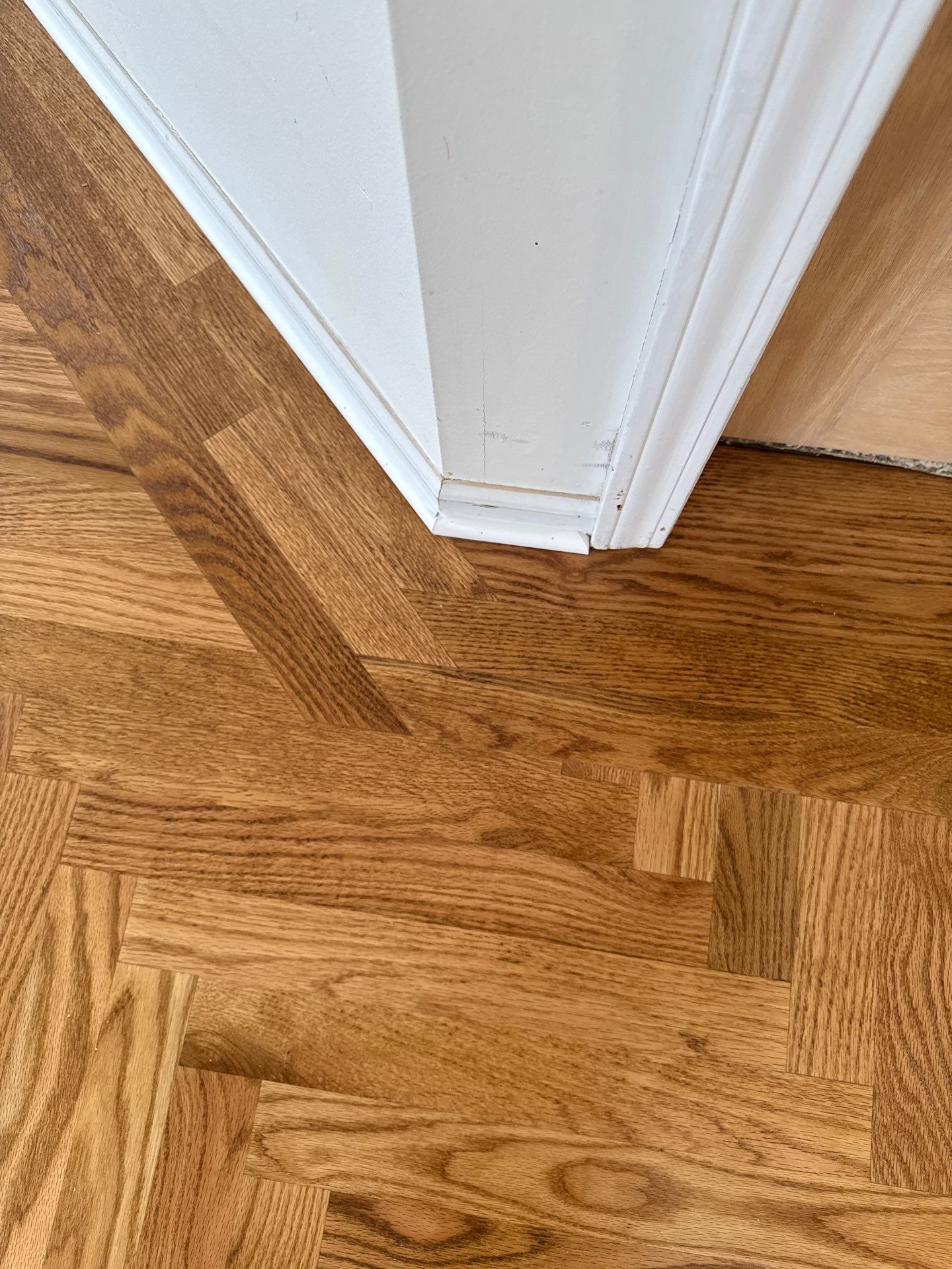 Carpet to Classic by Ann Arbor Hardwoods