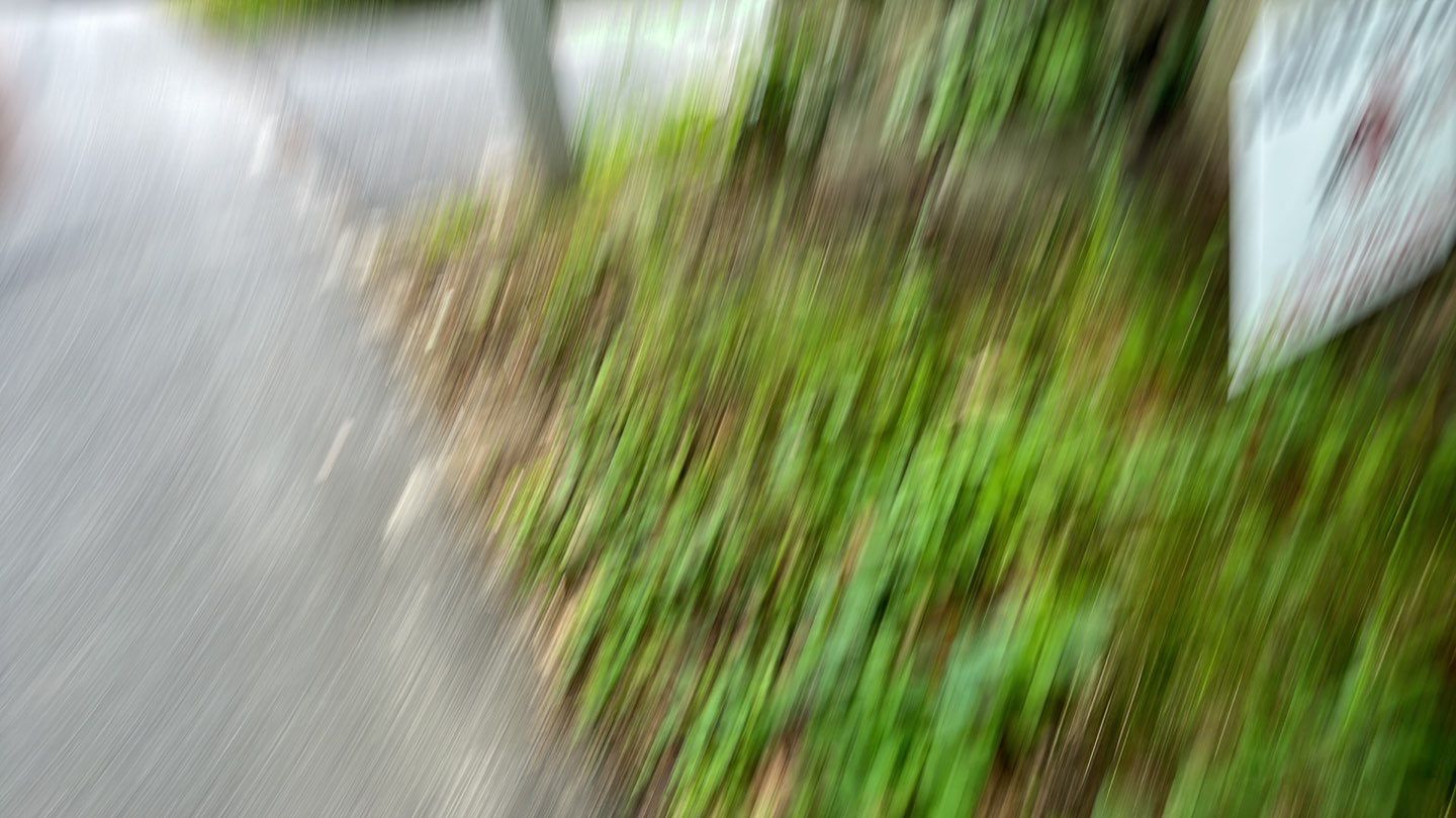 Standing Seam Black Metal Roof- Gazebo by Loyalty Exterior Solutions 