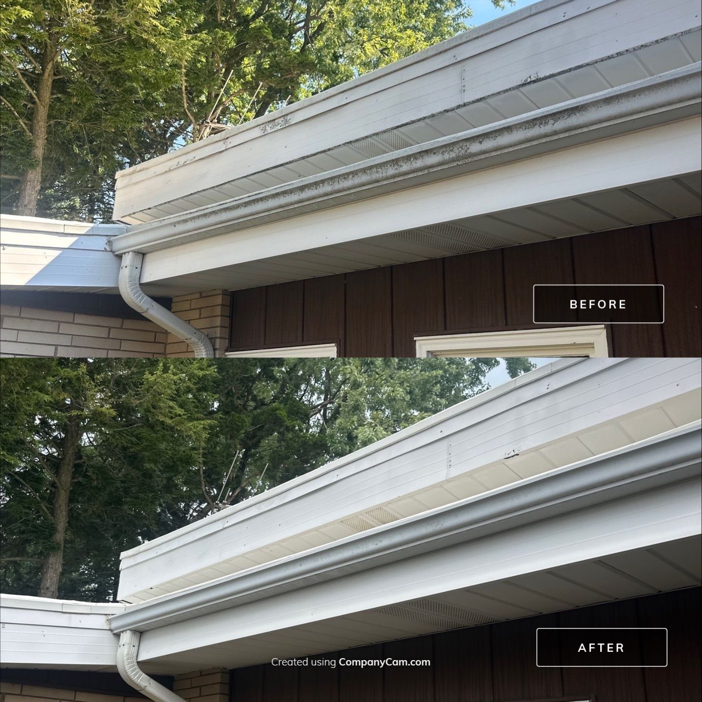 Project in Prospect Heights by Simmons Power & Soft Washing