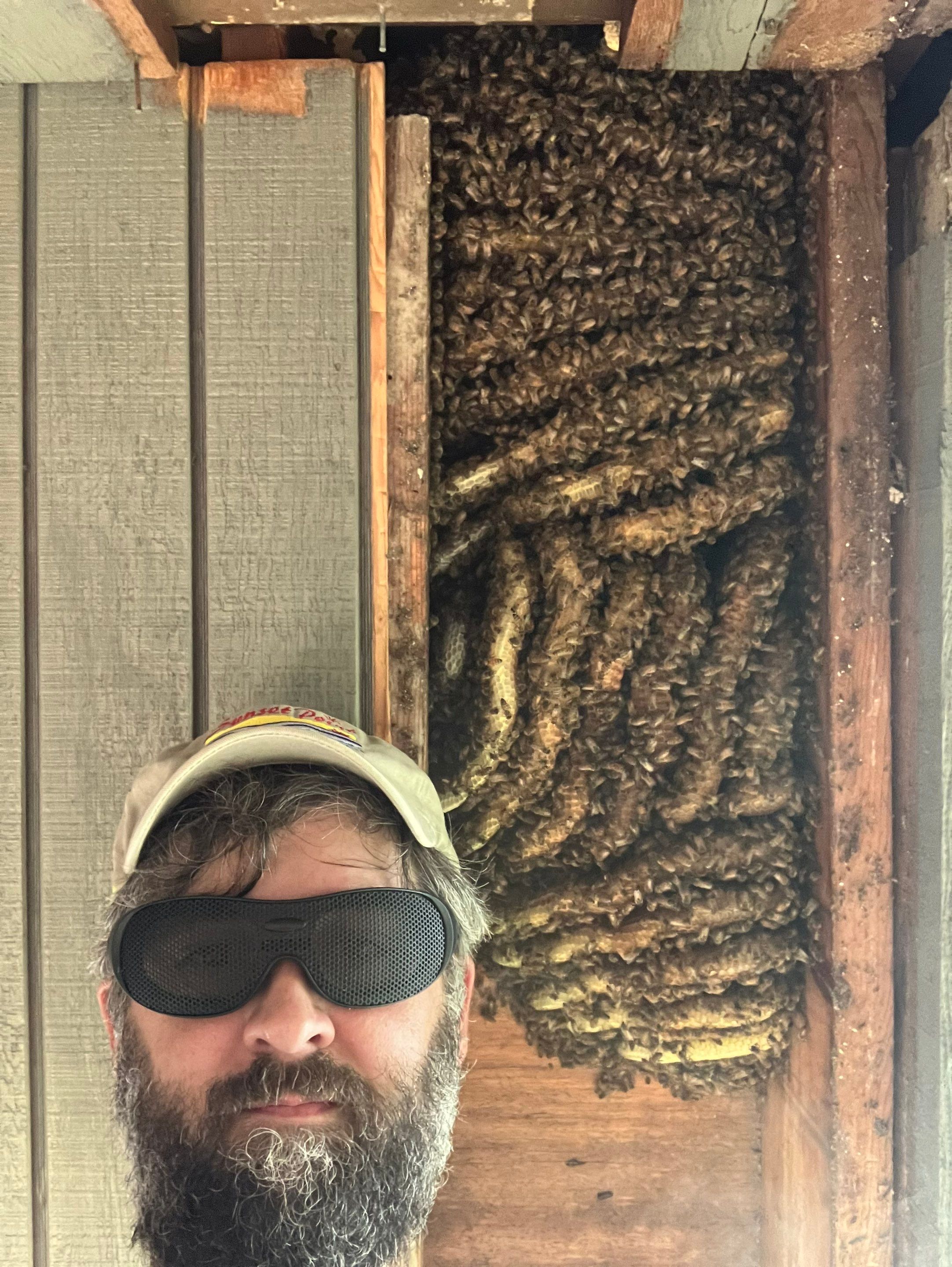 Love this house! by Rockwall Honey Bee Company