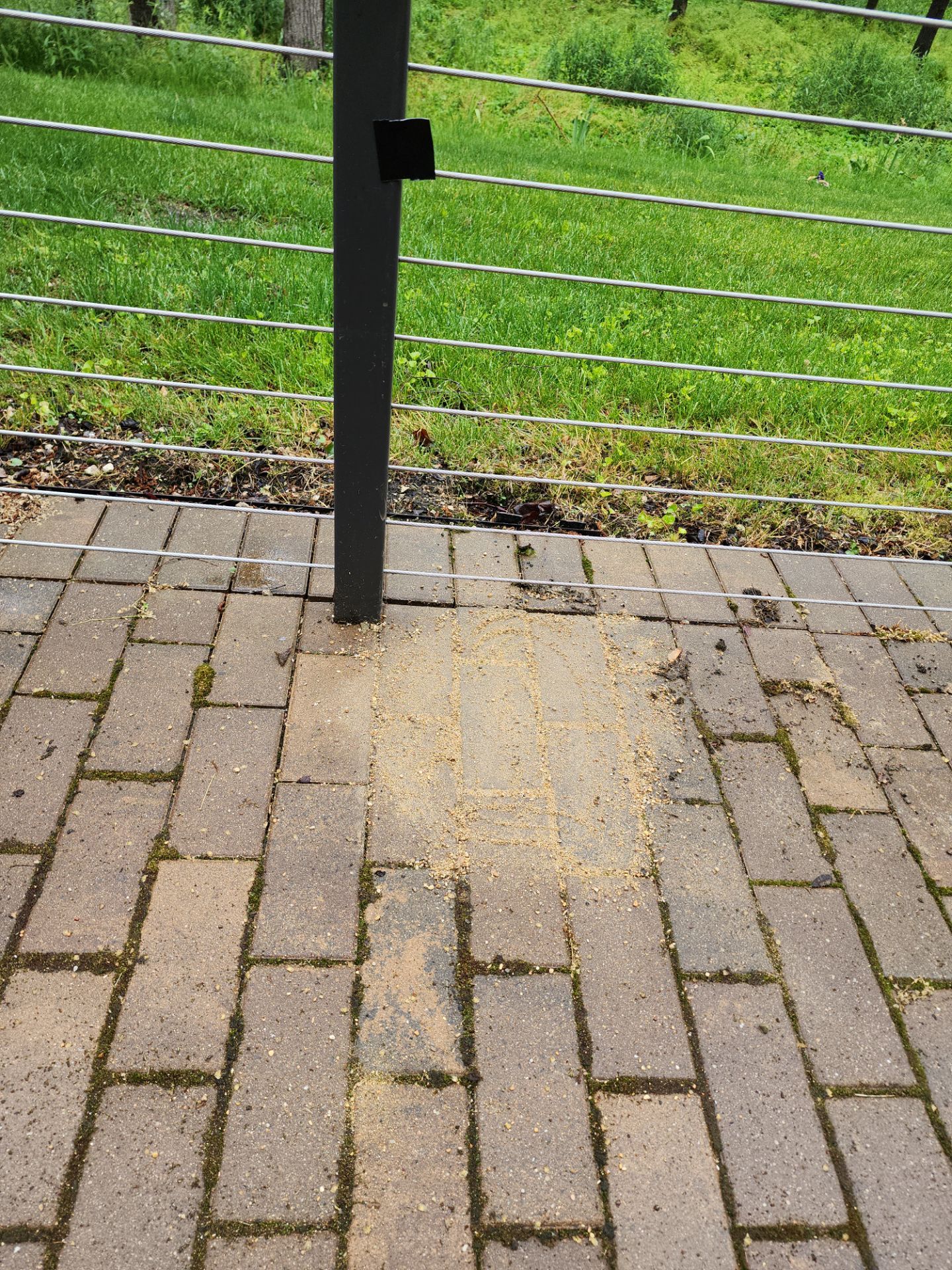 Brick paver repair, cleaning, sealing and poly sanding by Northern Power Washing LLC.