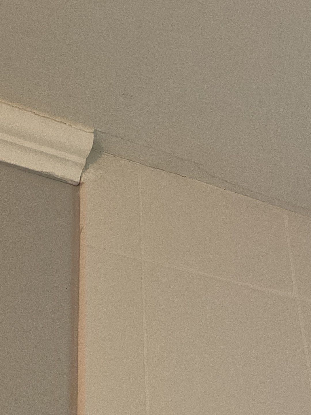 Quick and clean by The Shower Company