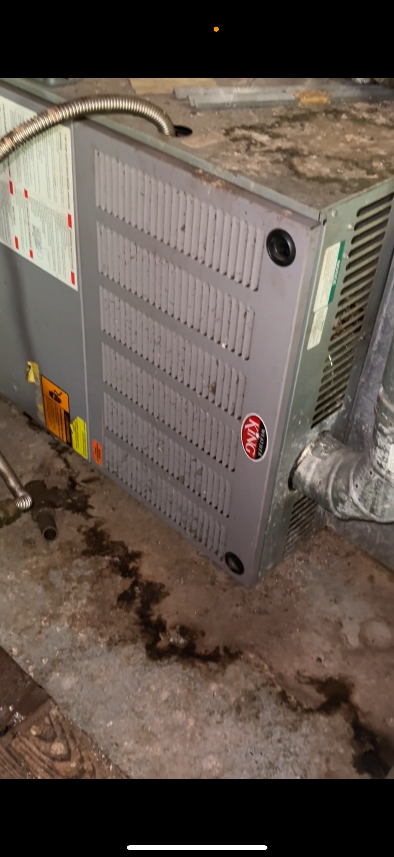 BIOHAZARD PIGEON FECES by Sadie’s Pro Cleaning