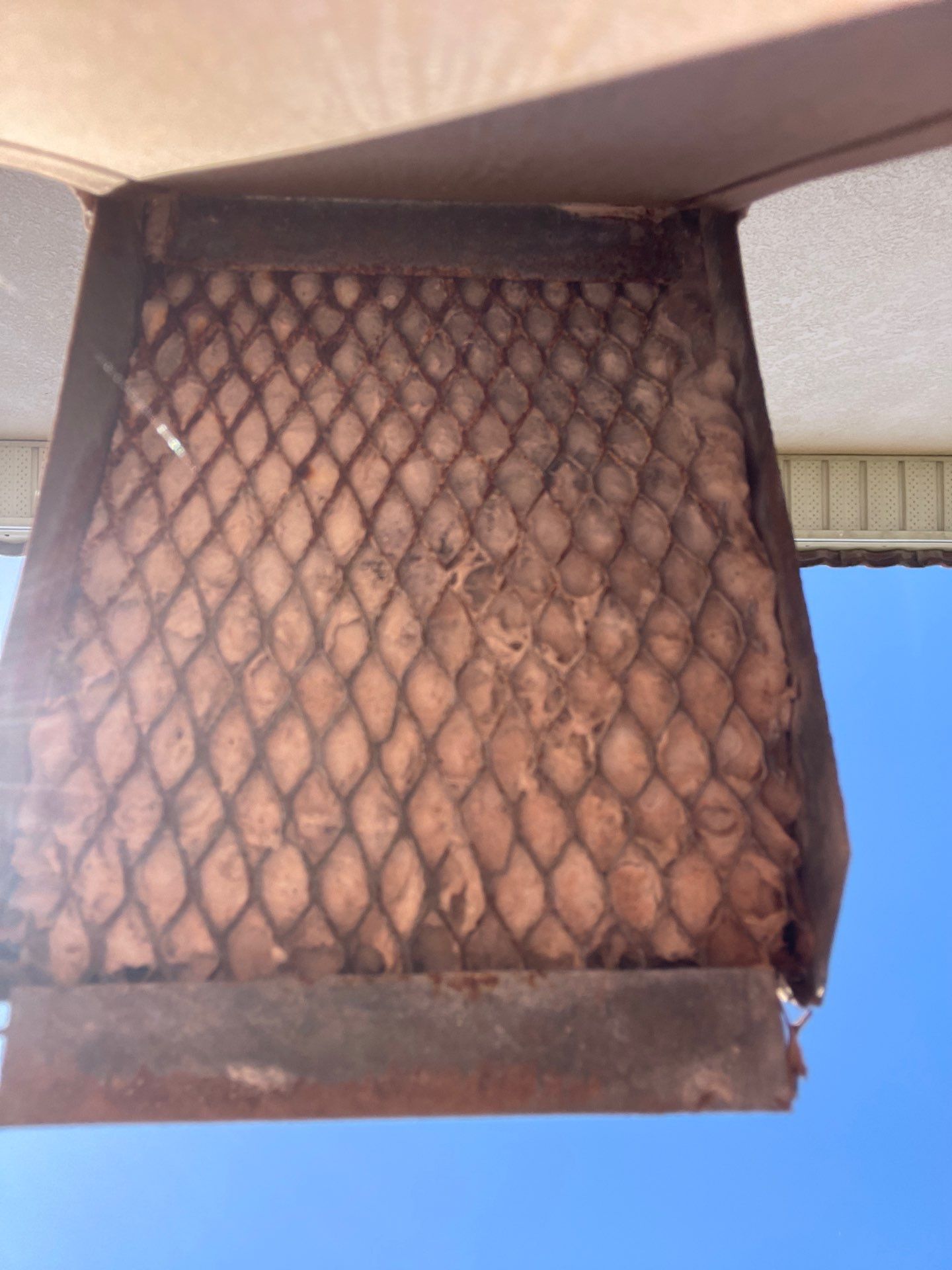 Air Duct Dryer Vent Cleaning in Winter Garden by Hygienic Air, Inc
