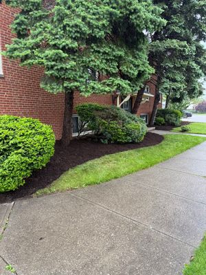 State Apartment Maintenance