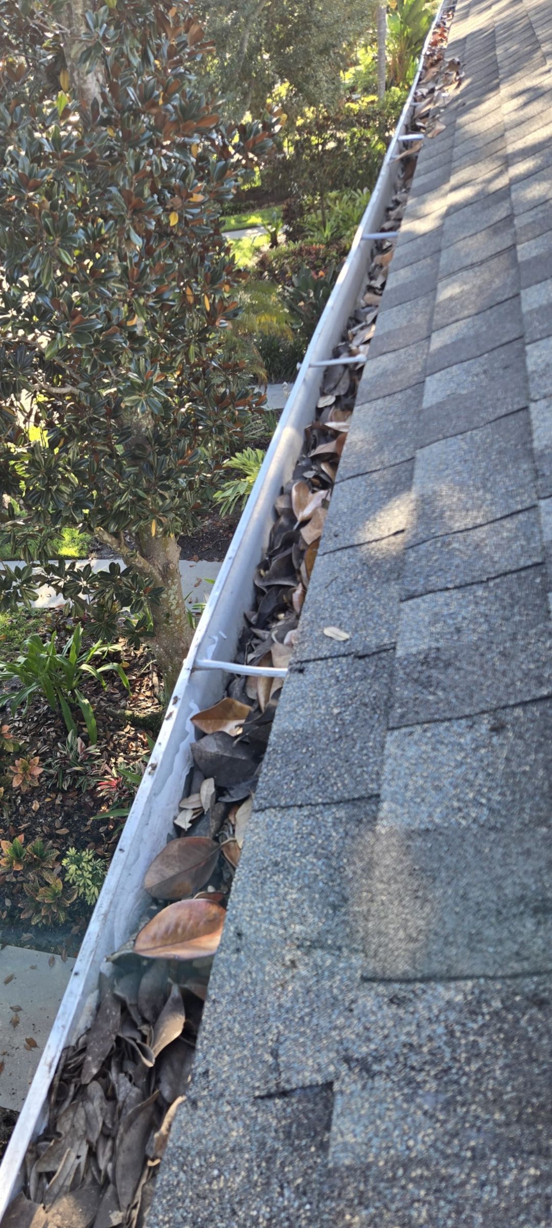 Gutter Cleaning Service in Fort Myers FL by Gutter Professors