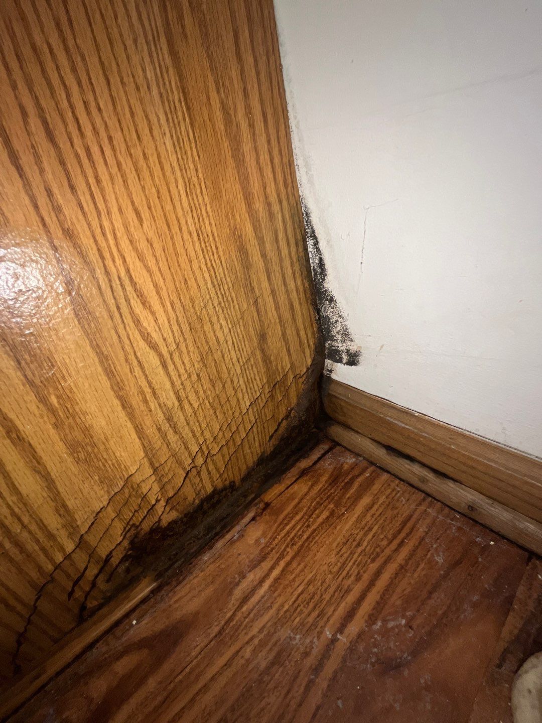 Water Pipe Leak by Chicagoland Water Medics
