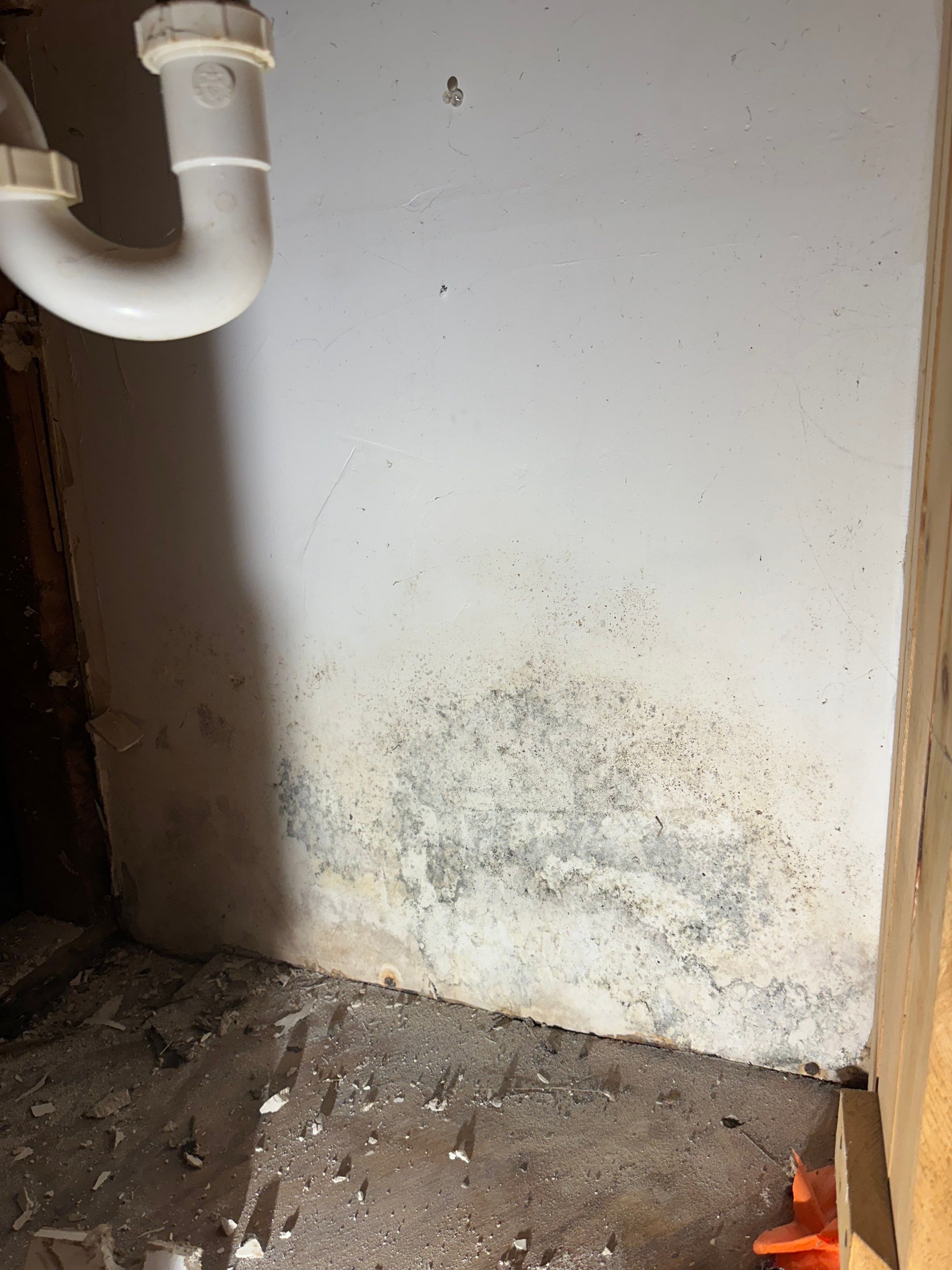 Basement Mold Remediation by Home Guarantee, LLC