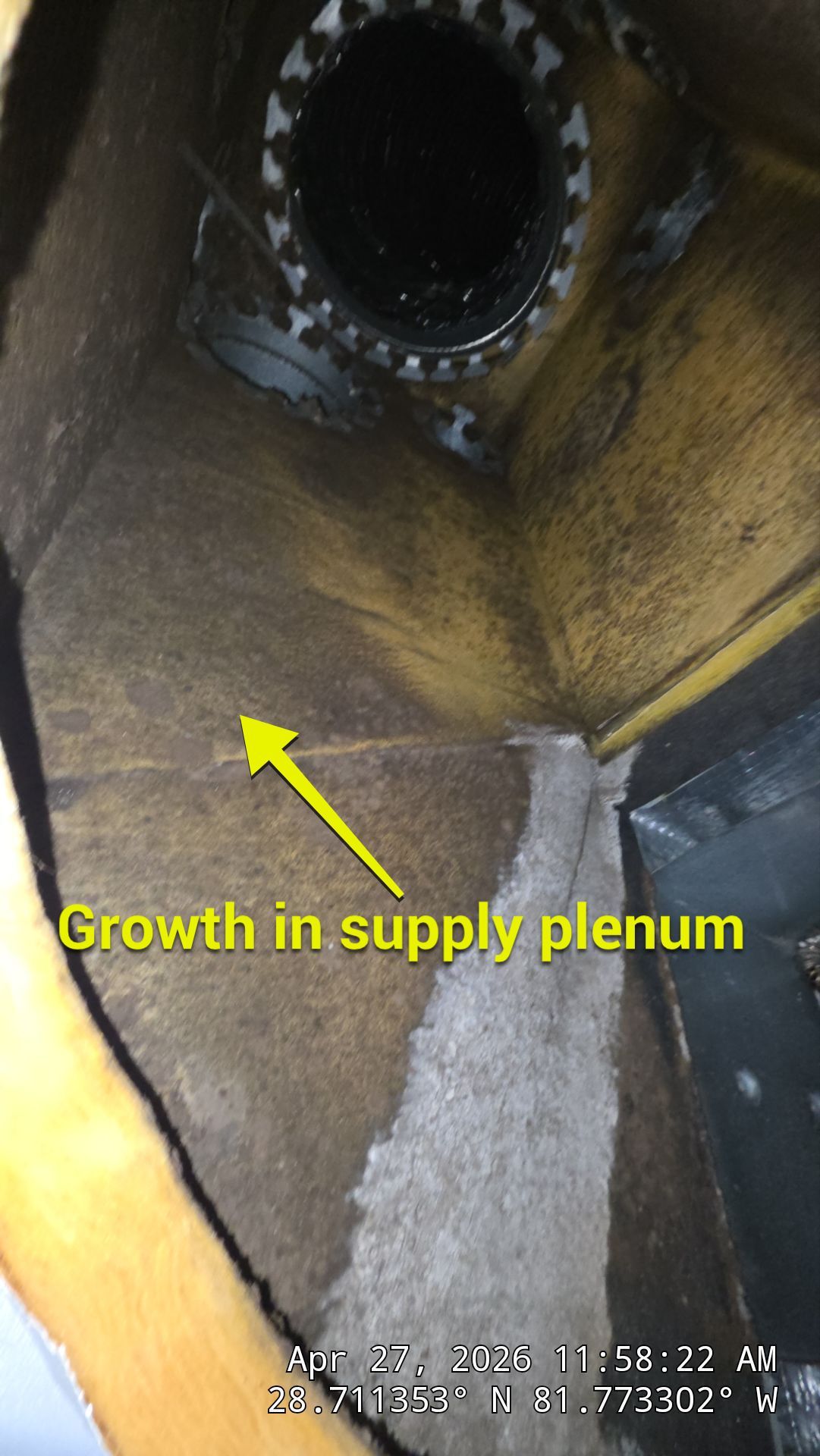 Air Duct Dryer Vent Cleaning Dryer Vent Repair Encapsulation by Hygienic Air, Inc