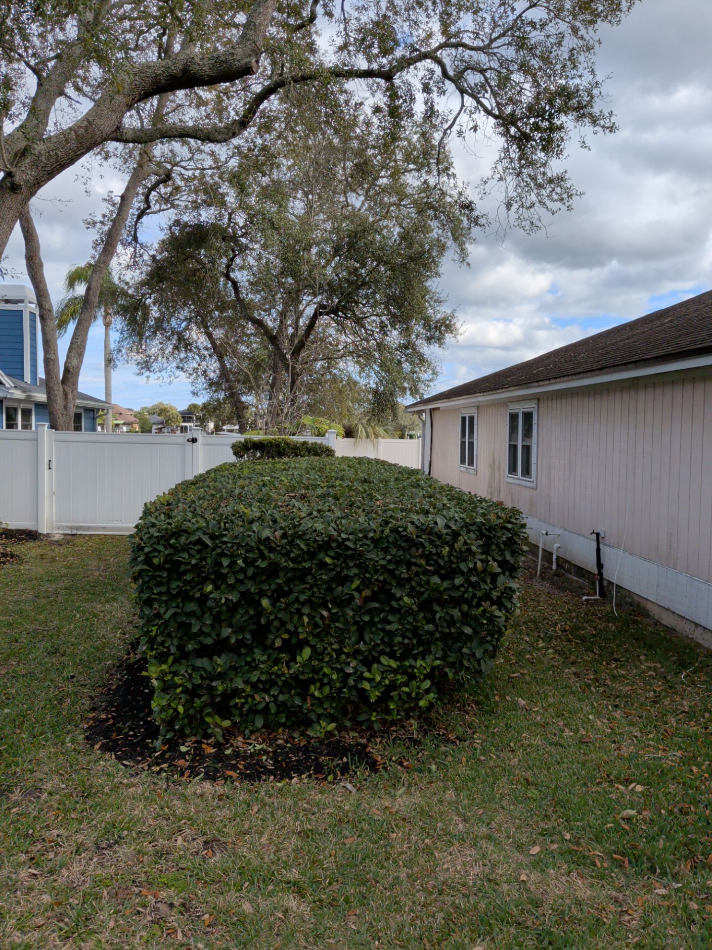 Flower Bed & Property Cleanup San Pablo area — Jacksonville Beaches, FL by Harmoni Home Services