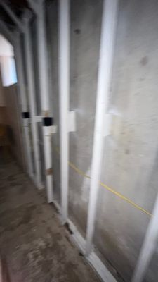 Project in Conifer
