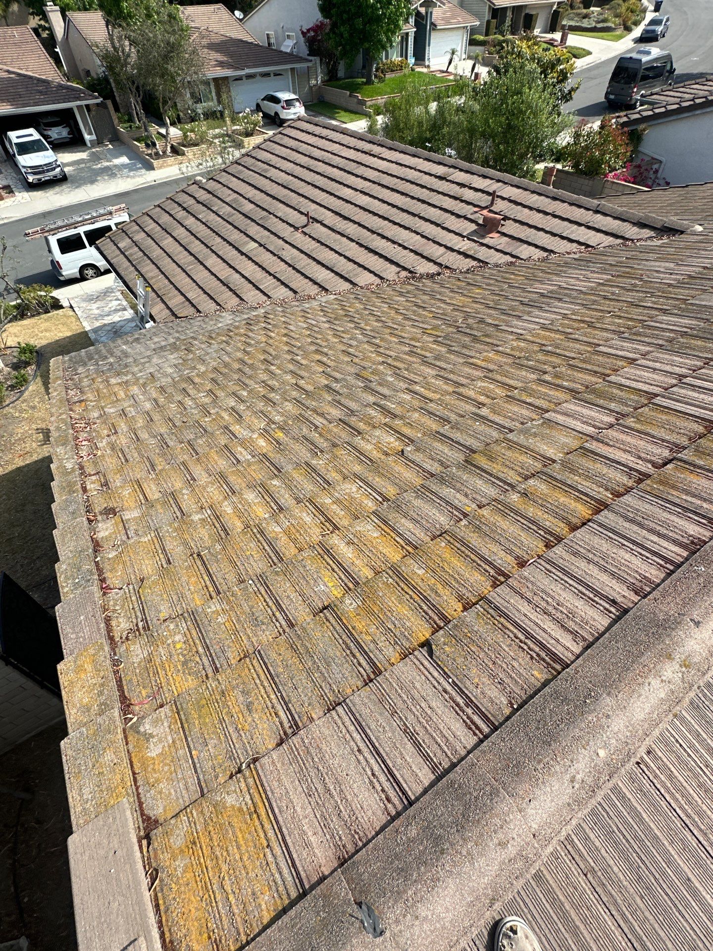 Orange County Roof Washing in Lake Forest by Property Cleaning Experts