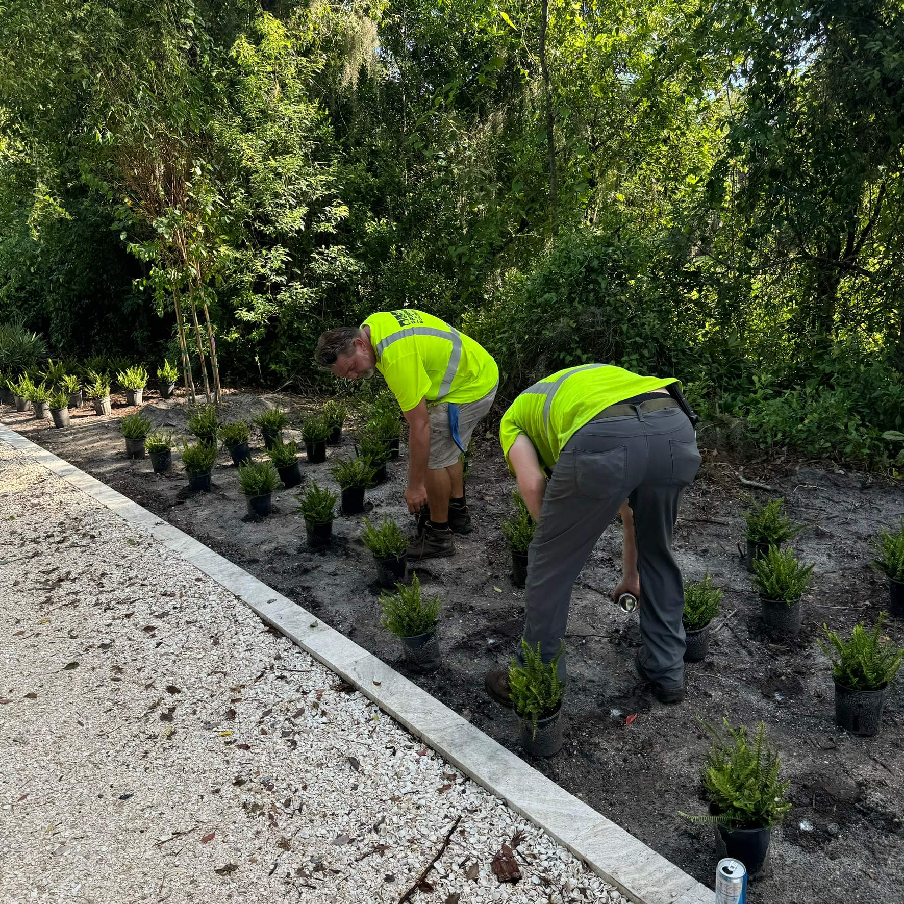 Landscape Install | Residence by ProGreen Services