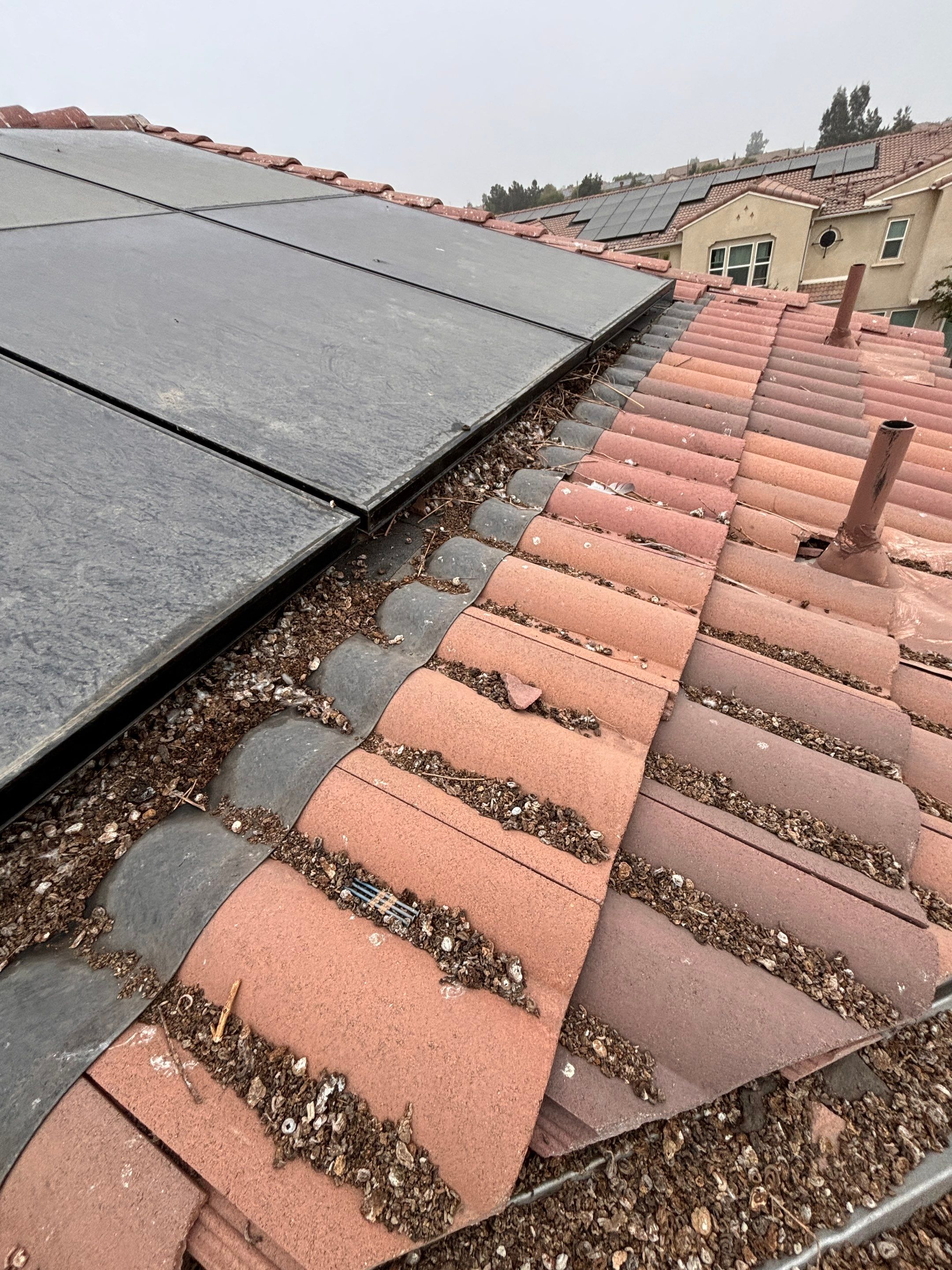 Solar Panel Bird Proofing in Fontana Ca by Palm Coast Solar Cleaning