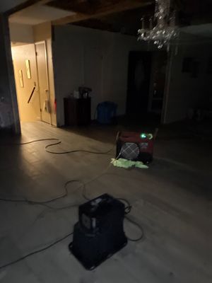 Black Mold Removal — Pensacola, FL