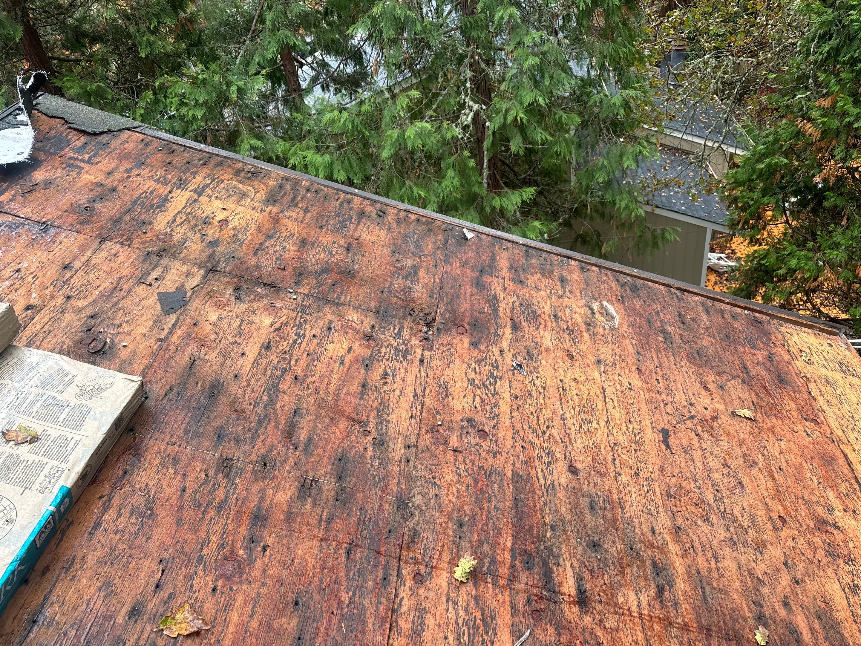 Roof Replacement in Corvallis by Prodigy Roof Solutions