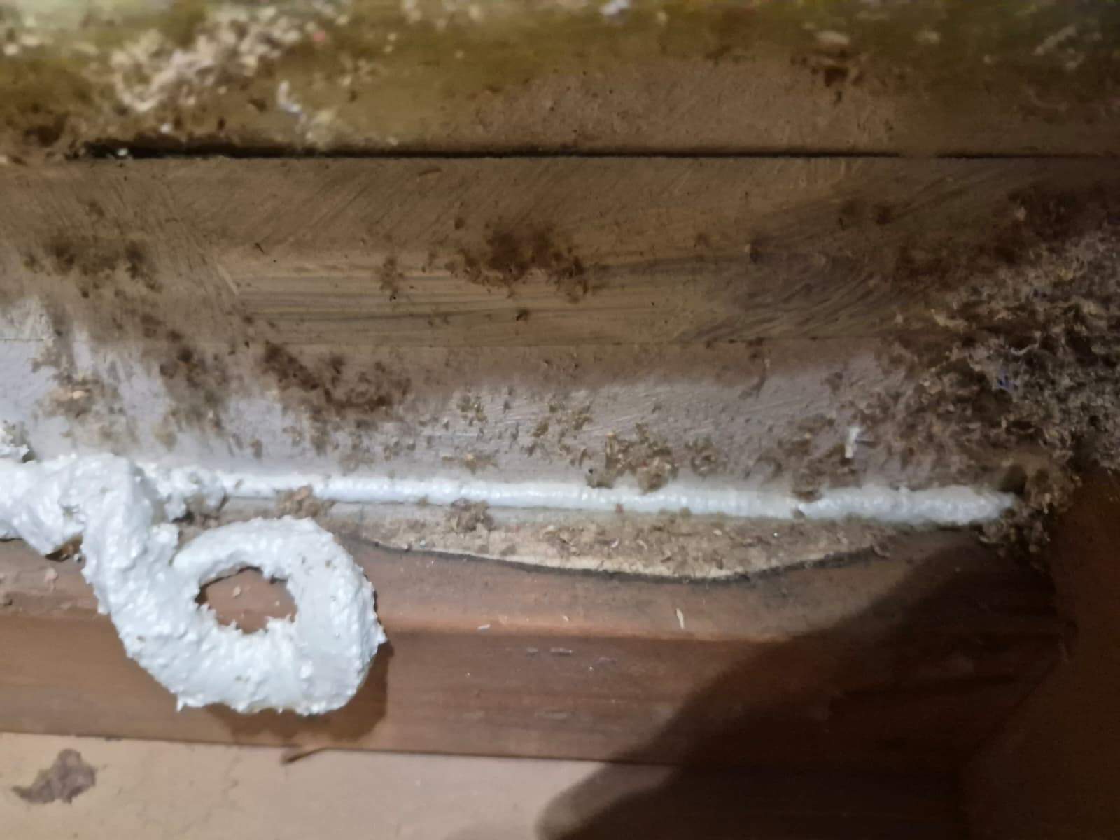 Project by Advanced Attic Solutions by Advanced Attic Solutions