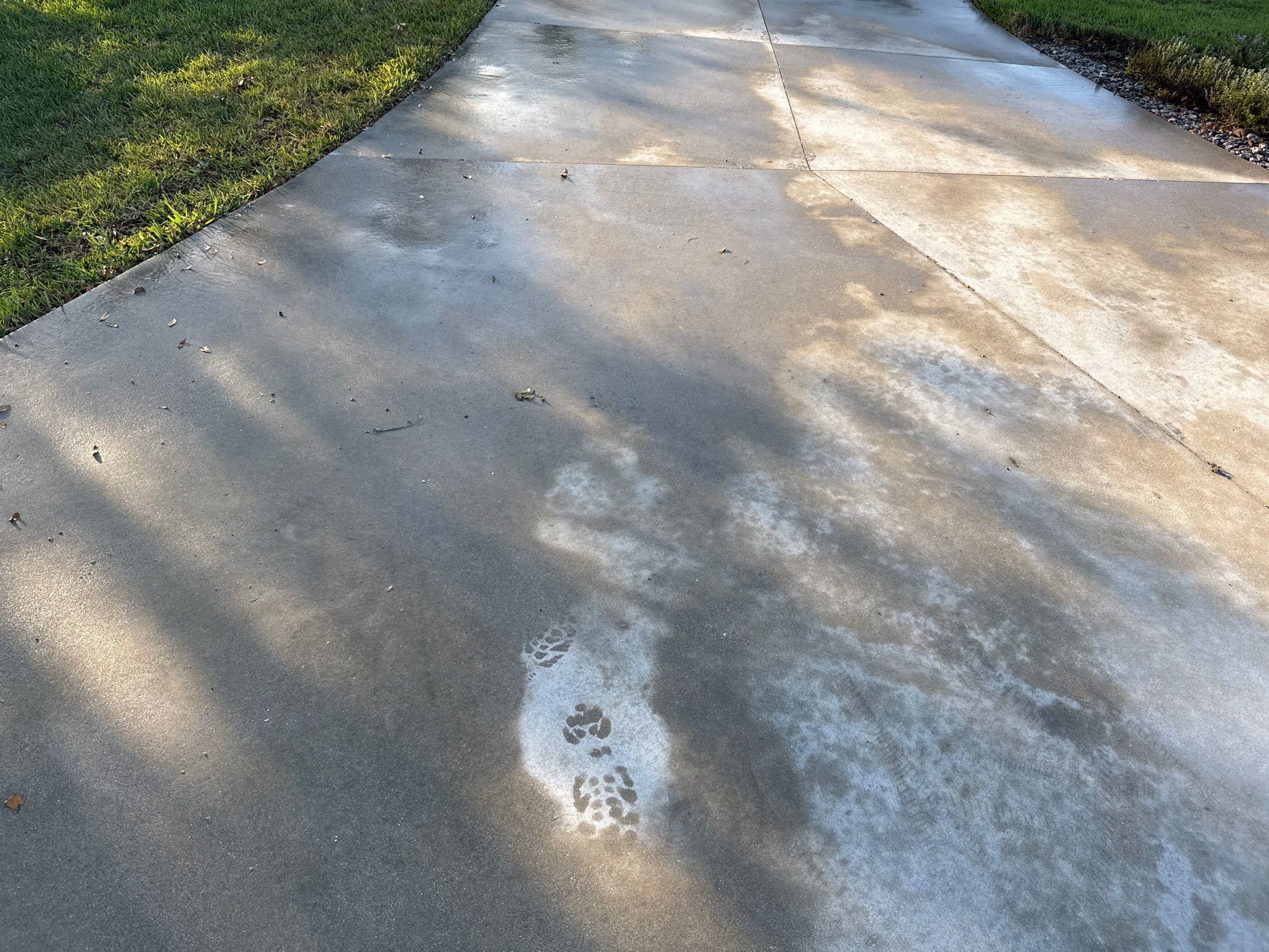 🏡 Large Concrete Driveway & Sidewalk Cleaning – Winding River Community, Bradenton, FL by Sunshine AquaWash