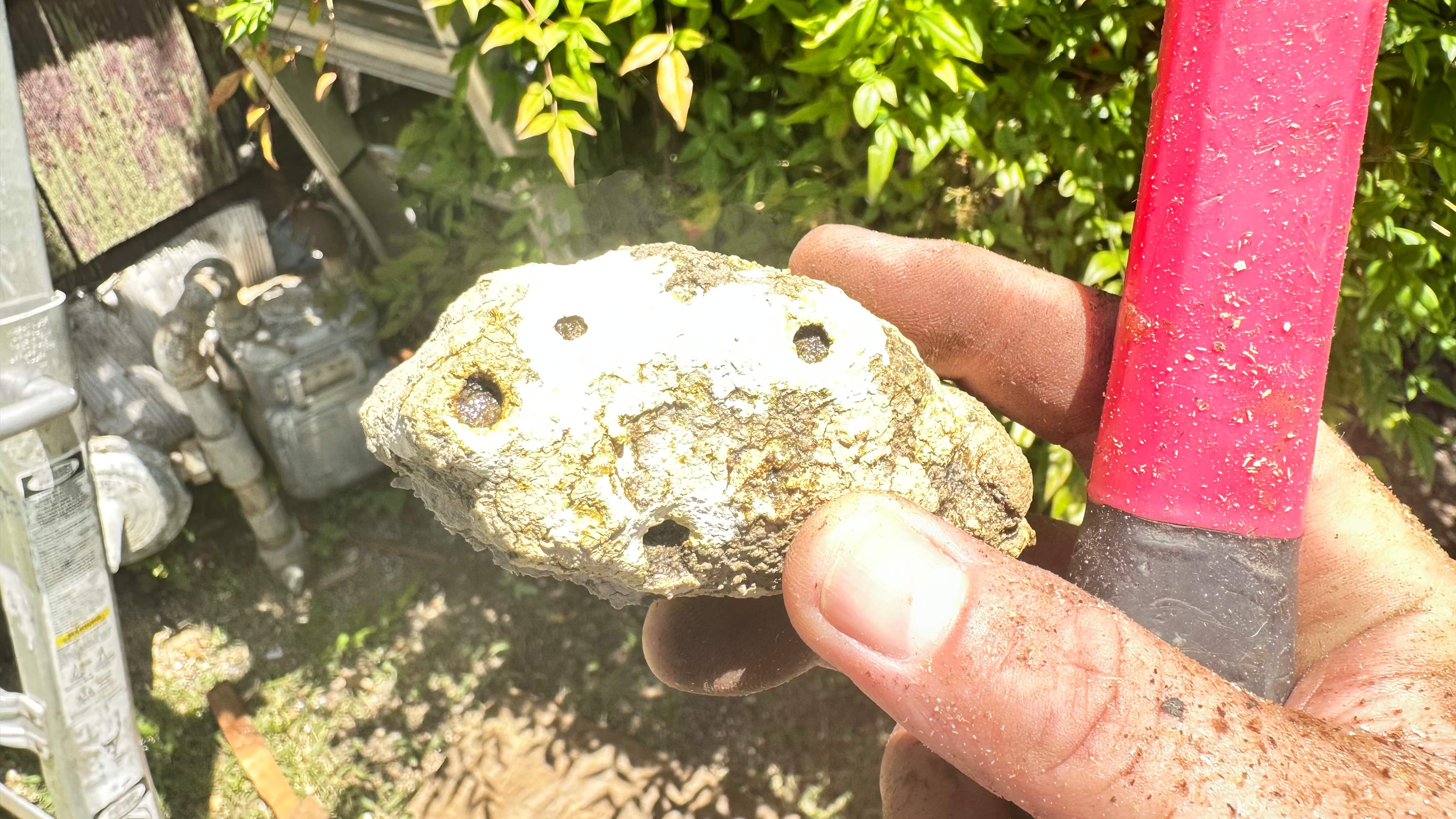 Behind Siding by Rockwall Honey Bee Company