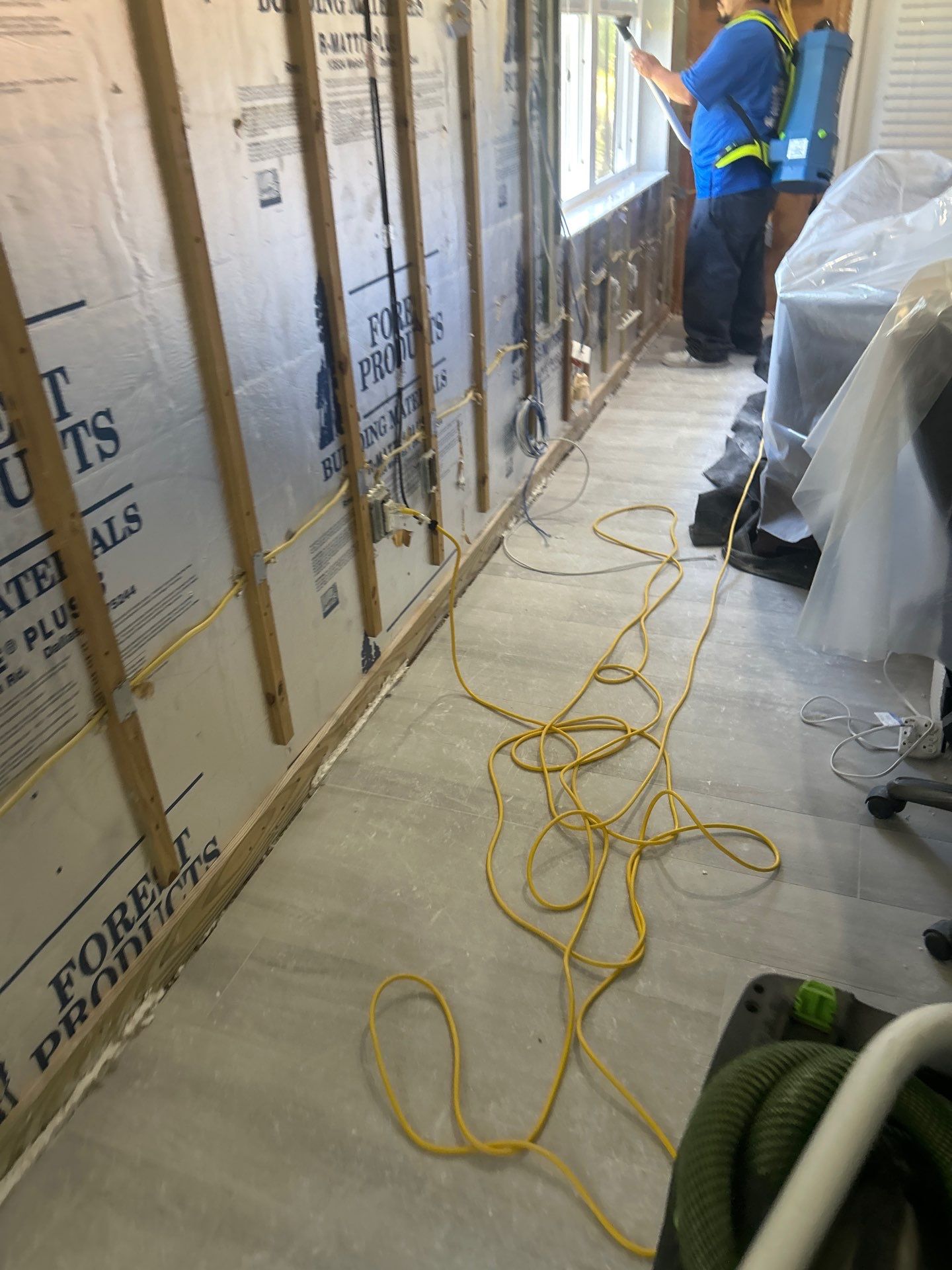 Mold Removal & Remediation In Sarasota by Ampm Restoration Services
