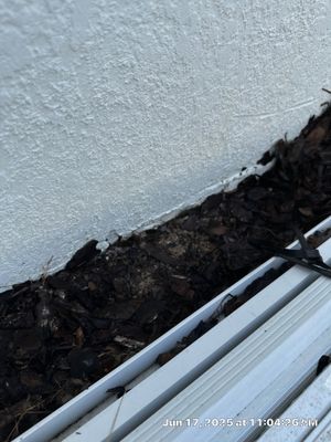 Moisture intrusion inspection with air quality testing