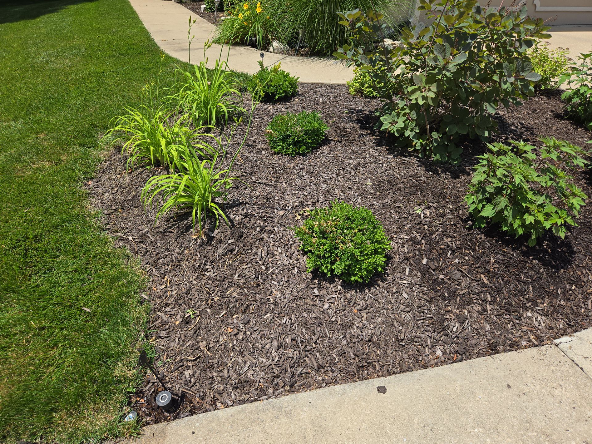 Land Escapes LLC featured photo.