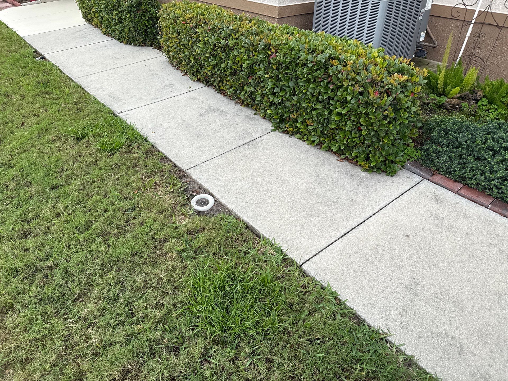 Concrete Driveway & Sidewalk Cleaning in Captain’s Court Condos – Palmetto, FL by Sunshine AquaWash