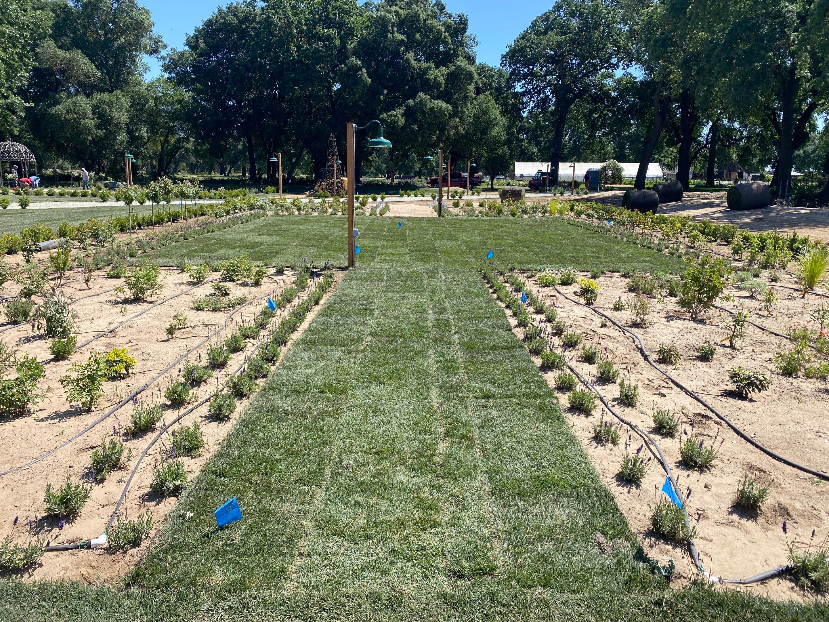 Project in Lodi by A - G Sod Farms