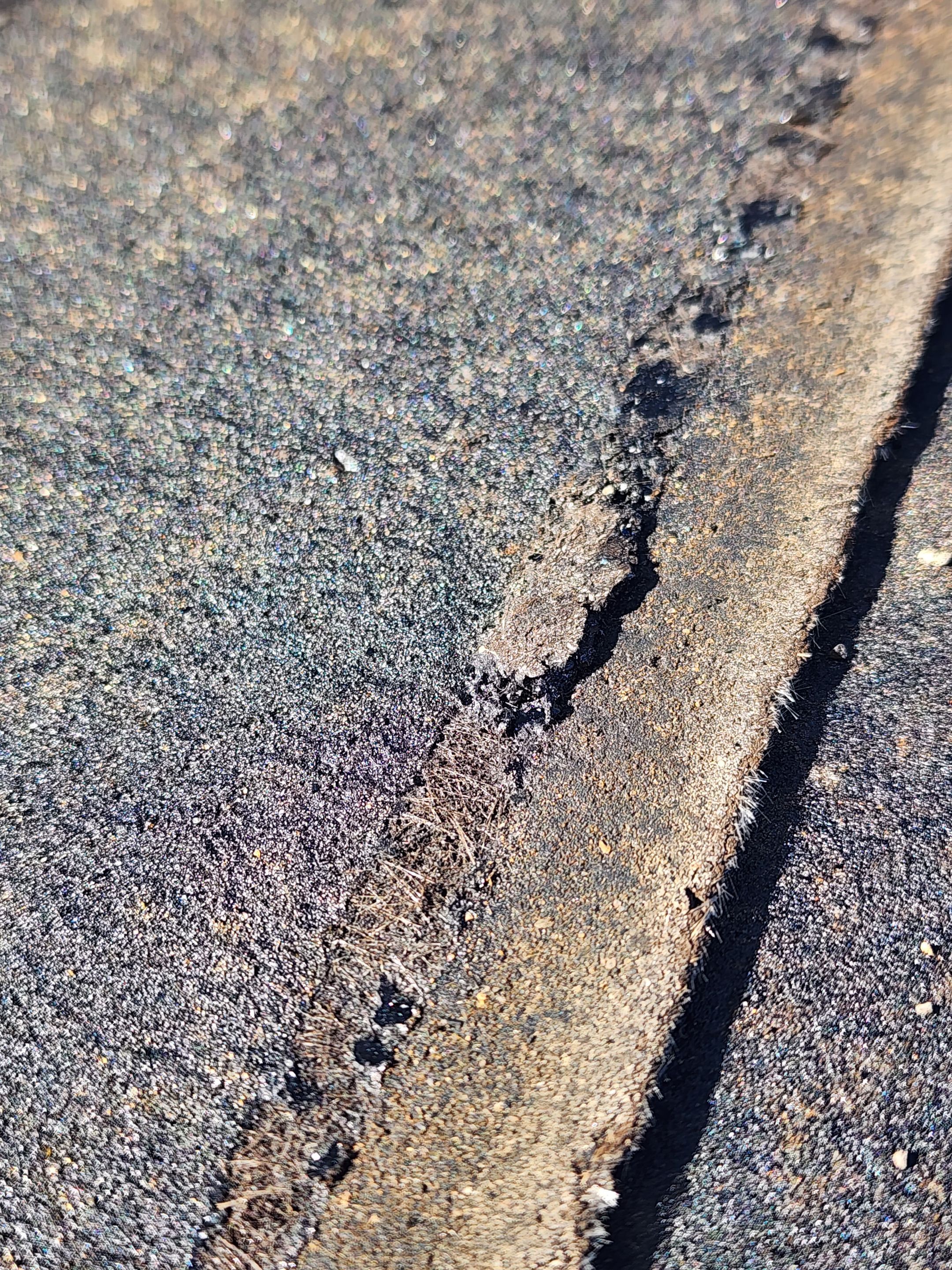 Fairfield Township - Majestic Shake by Tamlin Roofing