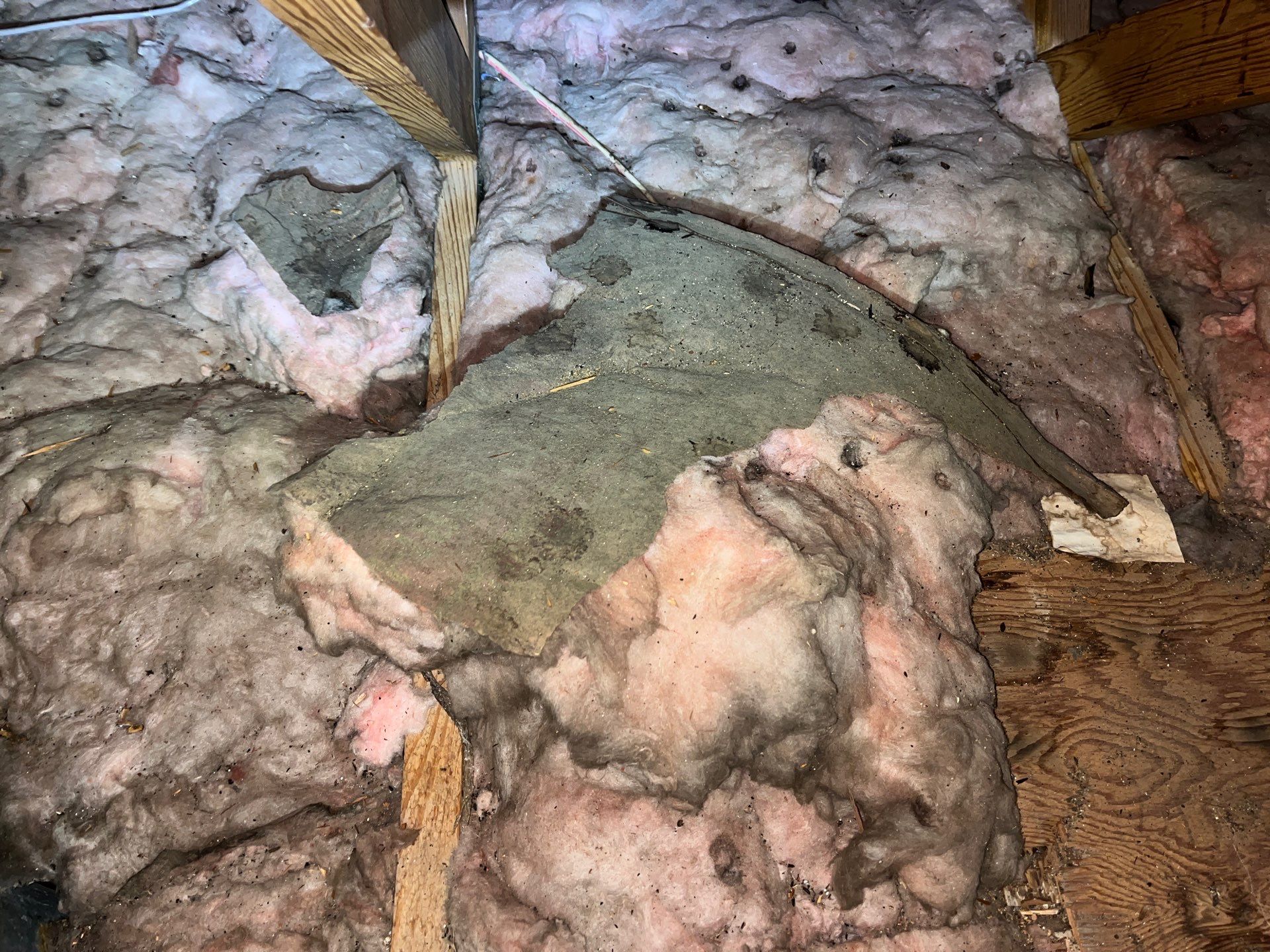 Addressing Attic Mold and Upgrading Insulation in Cranberry Township, PA 16066 by Home Environment Solutions