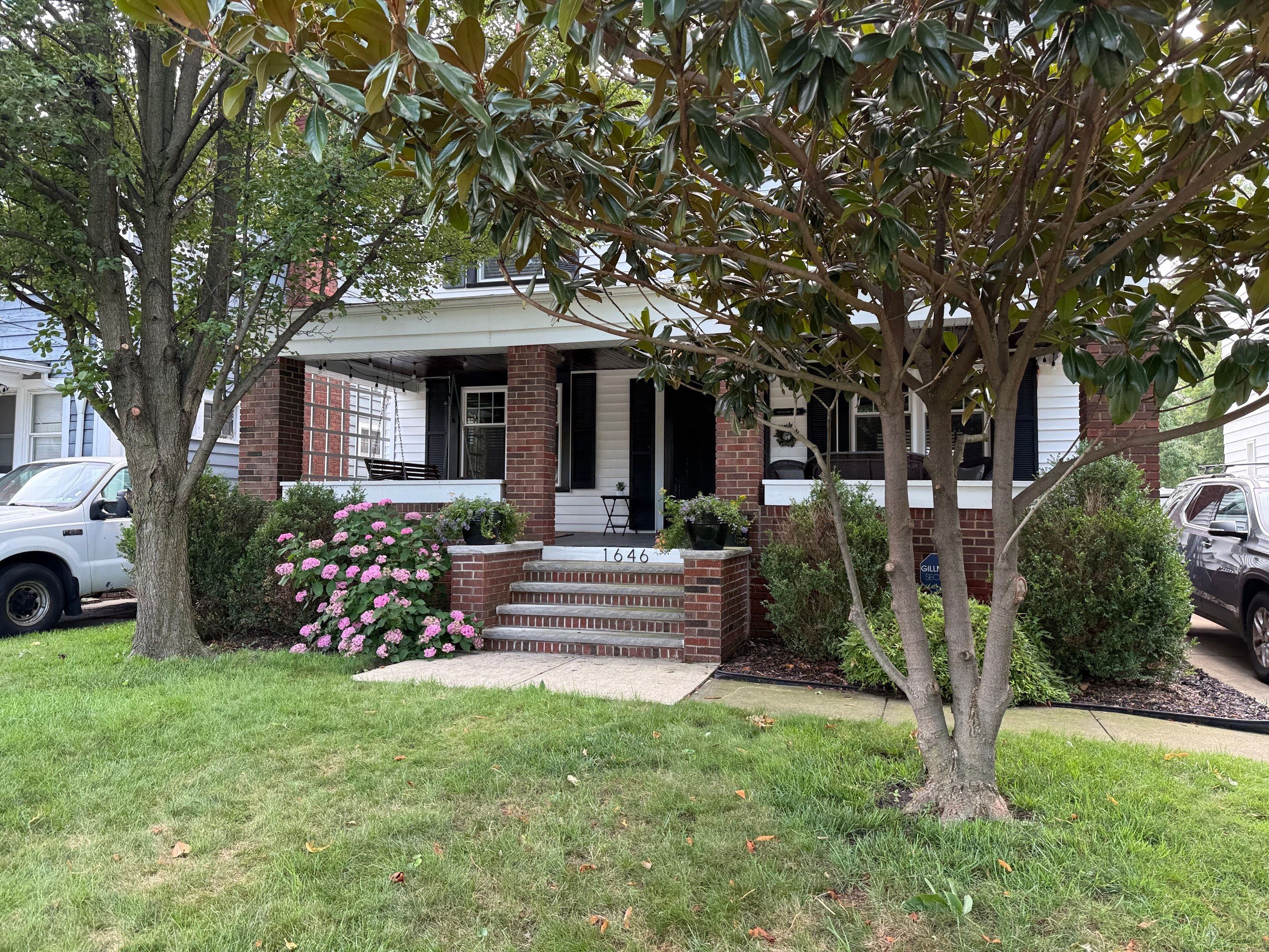 Modern Magnolia Project by Elm Rose Gardens