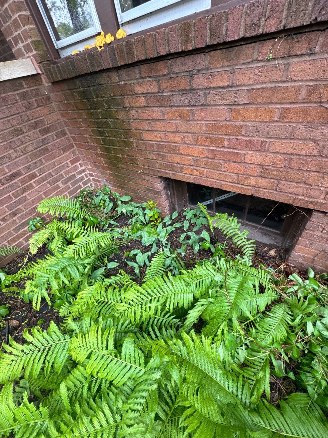 Basement Window Well Replacement in St. Paul, MN by Waterproofing Northeast