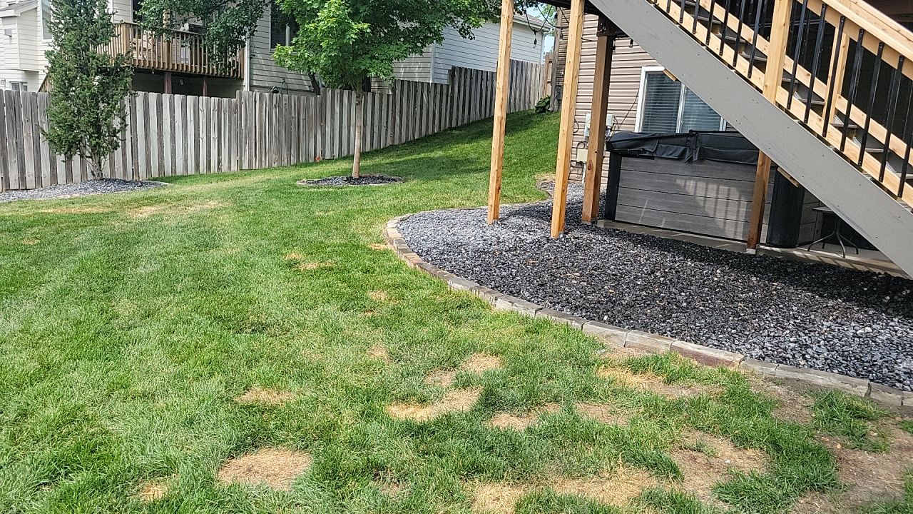 Landscape upadates. by New Horizon Landscapes