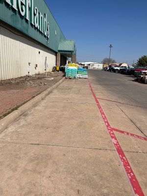 Shrub Removal
