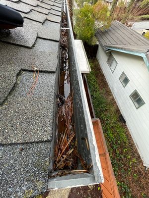 San Jose Gutter Cleaning on a 2 story home