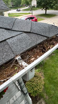 Turtle Shell gutter protection installation in Naperville, IL 60563, photograph 7