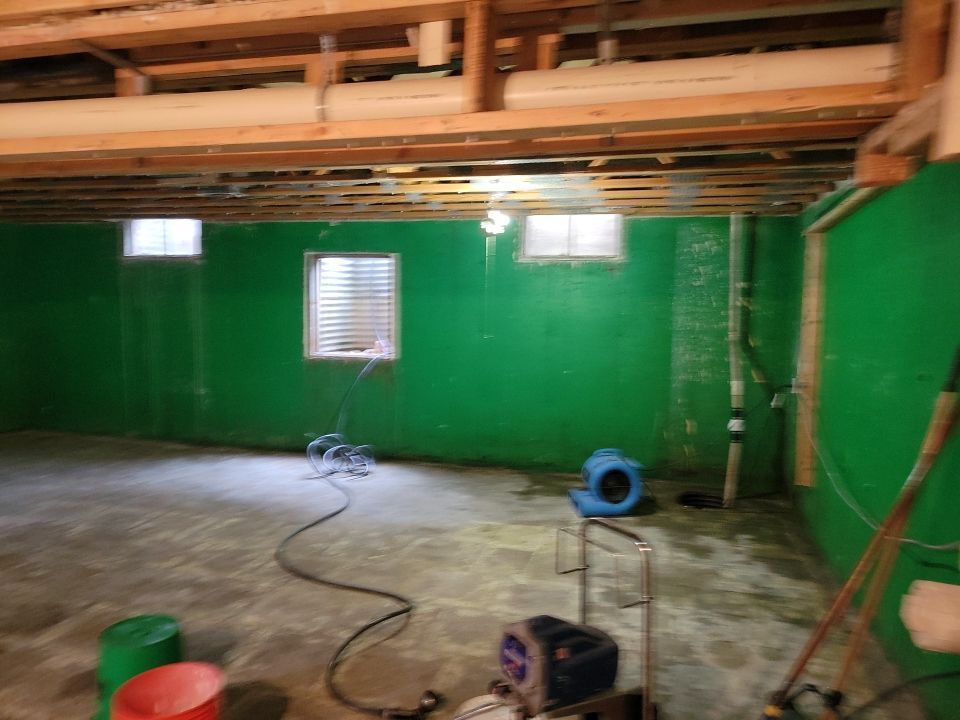 Grossly Contaminated Basement Mold by Chicagoland Water Medics